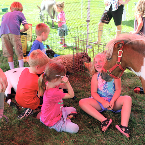 Petting zoo